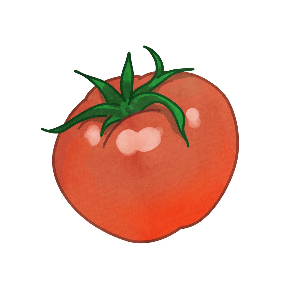 トマトのイラスト素材