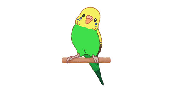 都内で セキセイインコイラスト7水彩色鉛筆 手描き原画 はがき アート 写真 Retirementkey Com